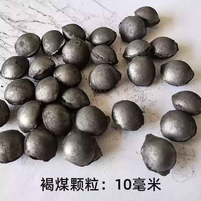 微信圖片_202311171118213 (2).jpg